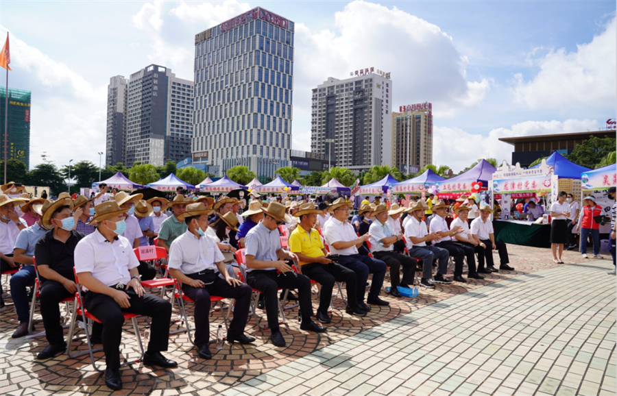 2024新澳网门票官方网站